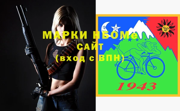 молекула духа Богородицк
