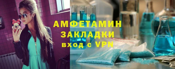 дмт Богданович