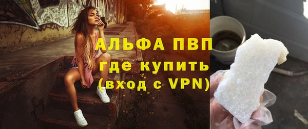 дмт Богданович