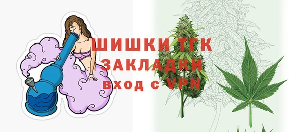 дмт Богданович