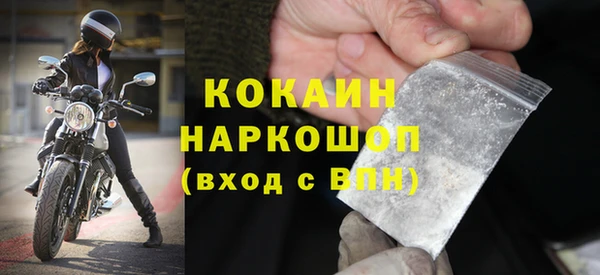 молекула духа Богородицк