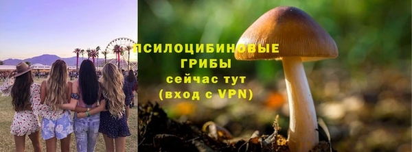 молекула духа Богородицк