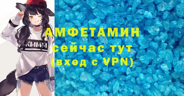 дмт Богданович