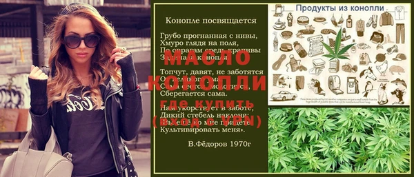 молекула духа Богородицк