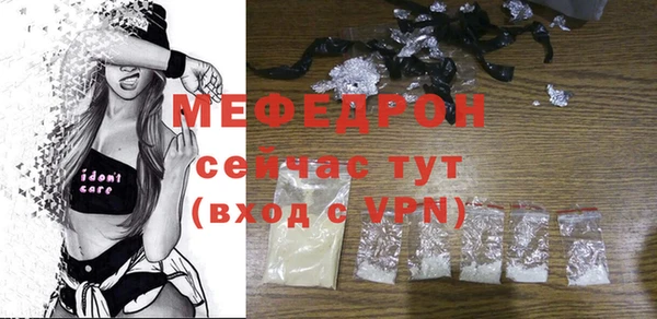 молекула духа Богородицк