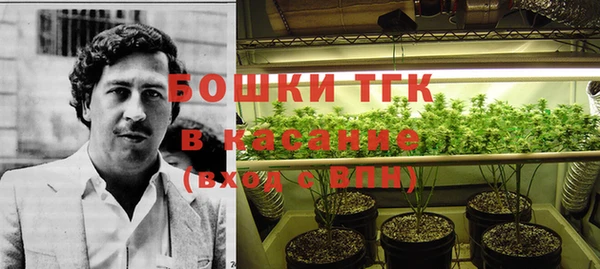 СК Богородск