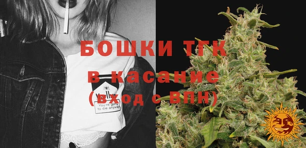 молекула духа Богородицк