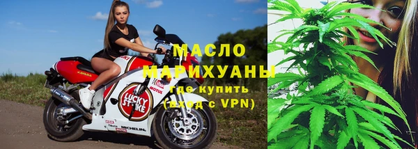 молекула духа Богородицк
