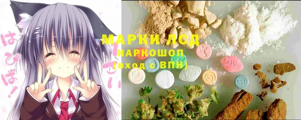 дмт Богданович