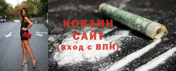 дмт Богданович