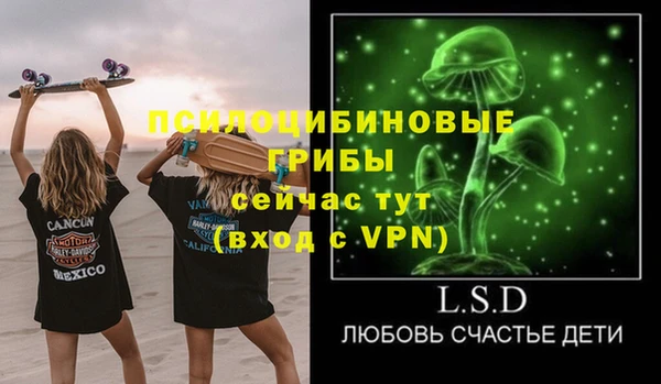 дмт Богданович
