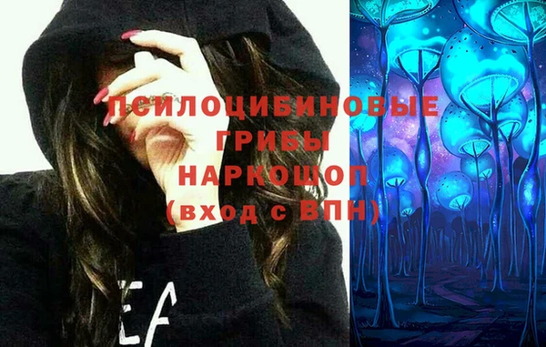 стафф Бронницы