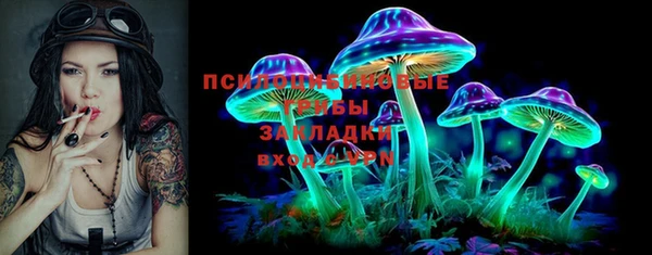 стафф Бронницы
