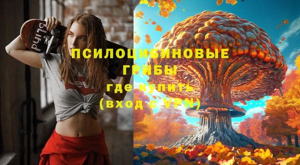 дмт Богданович