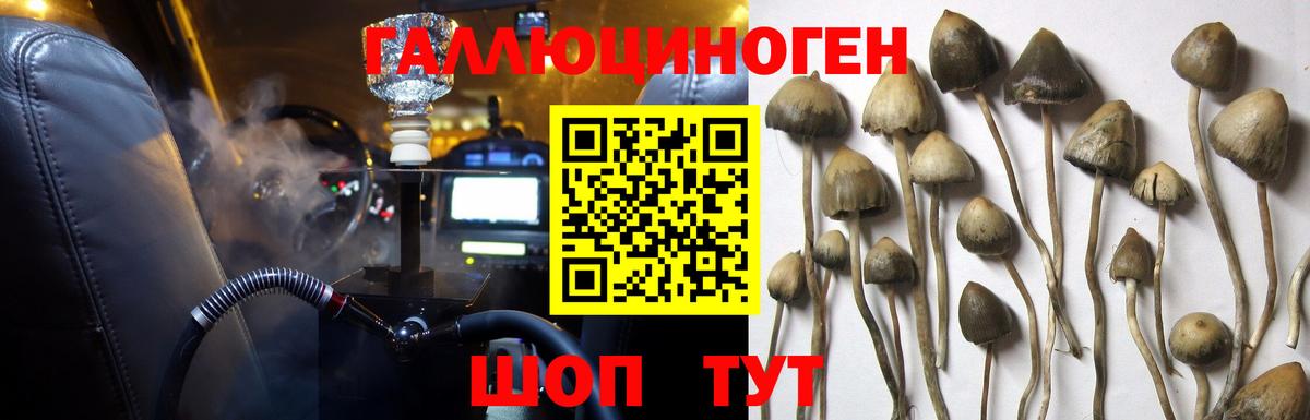 Галлюциногенные грибы MAGIC MUSHROOMS  Псилоцибиновые грибы MAGIC MUSHROOMS  Вход с VPN  цена   Воскресенск 